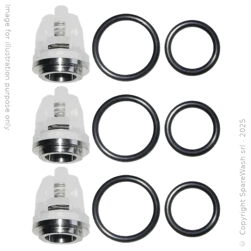 [60200105] KIT VALVOLE PER POMPA CAT 3CP