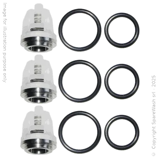 [60200105] KIT VALVOLE PER POMPA CAT 3CP